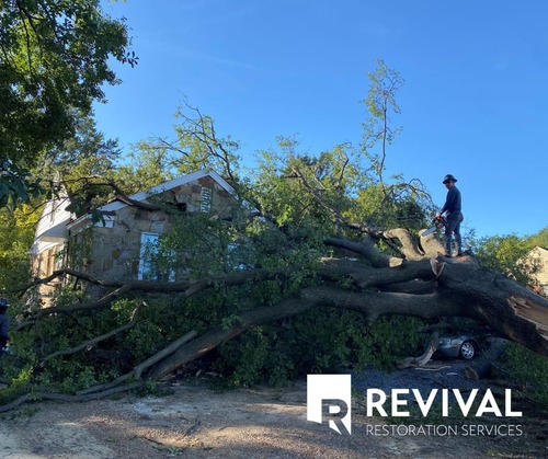 Revival Roofing project
